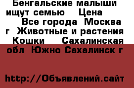 Бенгальские малыши ищут семью) › Цена ­ 5 500 - Все города, Москва г. Животные и растения » Кошки   . Сахалинская обл.,Южно-Сахалинск г.